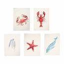 DECO ETOILE AMARRES BLEU 11X11