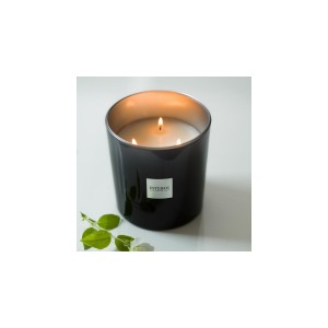 BOUGIE PARFUMEE EDITION SAUVAGE CHIC TECK ET TONKA