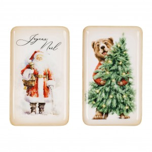 PLATEAU SANTA RGE+VRT 15X25